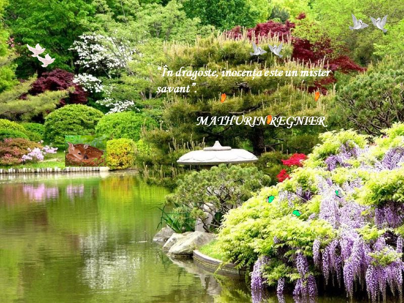 “În dragoste, inocenţa este un mister savant”.      MATHURIN REGNIER